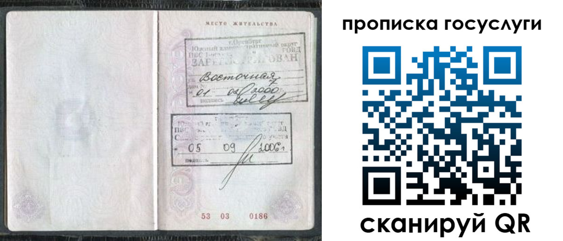 временная регистрация для школы в Лосино-Петровском